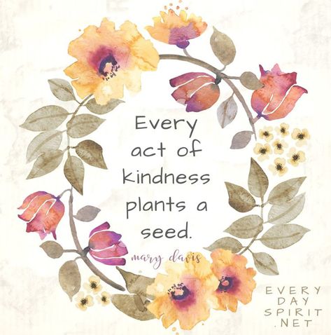 Quotes About Blooming, Mary Davis Quotes, Kindness Quotes Inspirational, Act Of Kindness Quotes, Bloom Quotes, Calendar Quotes, Kindness Quote, Encouraging Thoughts, Inspirational Life Lessons