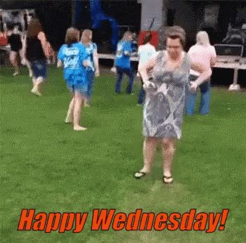 Finally Wednesday Happy Wednesday GIF - FinallyWednesday HappyWednesday - Discover & Share GIFs Wednesday Gif, Drunk Quotes, Wednesday Humor, New Funny Memes, Happy Wednesday Quotes, Drunk Humor, Funny Quotes For Kids, Funny Relationship Memes, Grumpy Cat Humor