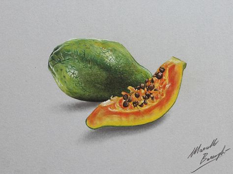 The papaya - four drawing stages by Marcello Barenghi Papaya Drawing, Marcello Barenghi, Pencil Drawing Pictures, Papaya Art, Hyper Realism, Illusion Drawings, Pencil Drawing Tutorials, Fruits Drawing, Cool Pencil Drawings