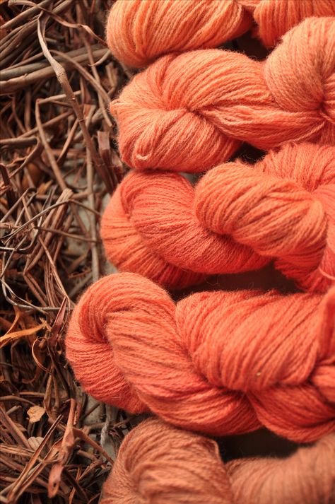 Fingering weight wool dyed with madder roots Madder Root, Natural Dye, Natural Dyes, Mood Board, Lounge, Dye, Throw Pillows, Wool, Nature