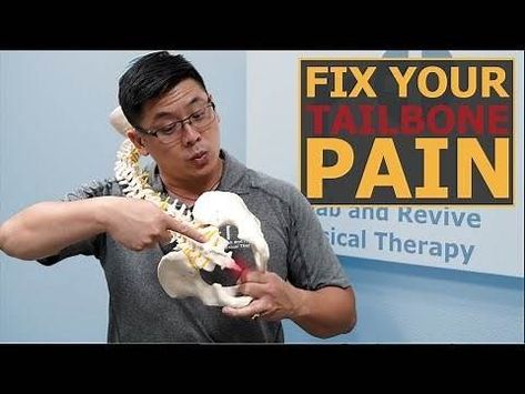 excercises for tailbone - Yahoo Video Search Results Tail Bone Pain Relief Exercise, Tailbone Pain Relief Stretches, Coccyx Pain Relief, Cracking Your Back, Tailbone Pain Relief, Tail Bone, Bone Healing, Tailbone Pain, Riding A Motorcycle