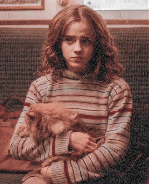 Hermione Outfits, Hp Aesthetic, Harry Potter Cartoon, Yer A Wizard Harry, Random Picture, Prisoner Of Azkaban, Ginny Weasley, Harry Potter Cast, Harry Potter Aesthetic