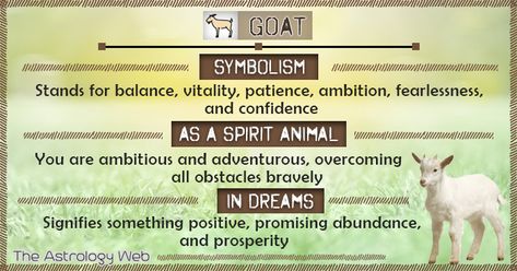 Goat Meaning and Symbolism | The Astrology Web Goat Spirit Animal, Goat Spiritual Meaning, Goat Spirit Animal Meaning, Goat Symbolism, Goat Meaning, Druid Aesthetic, What's My Spirit Animal, Spirit Animal Quiz, Spiritual Understanding