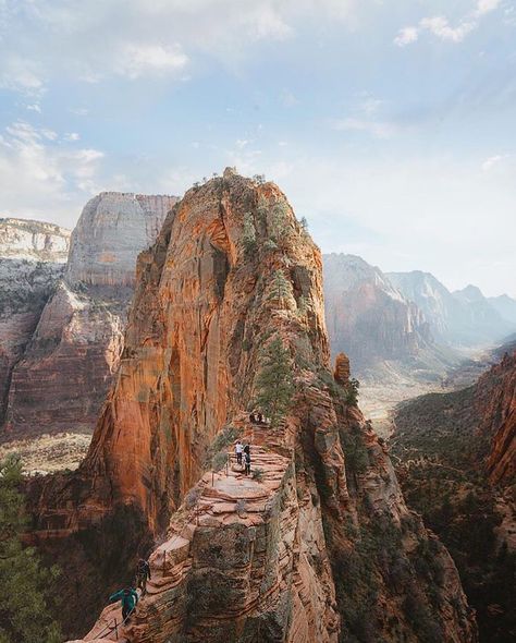 Angels Landing Zion, Zion National Park Utah, Angels Landing, Utah Travel, Southwest Desert, Utah National Parks, Bryce Canyon, Salt Lake City Utah, Zion National Park