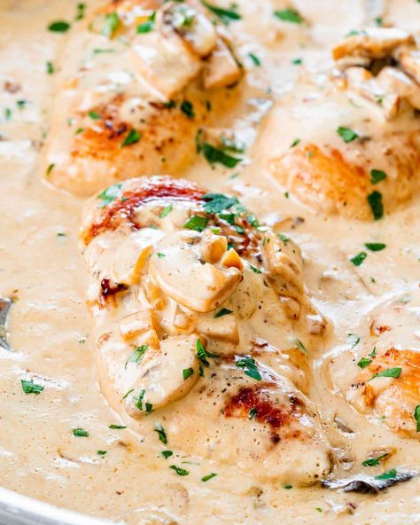 This Chicken with Creamy Mushroom Sauce is a simple yet very elegant dish featuring boneless skinless chicken breasts in a delicious creamy mushroom sauce made with white wine and cream. #creamymushroomsauce #chicken #winnerwinnerchickendinner Chicken White Wine Sauce, White Wine Chicken, Mushroom Cream Sauces, Creamy Lemon Chicken, Jo Cooks, Creamy Mushroom Sauce, White Wine Sauce, Baked Chicken Thighs, Winner Winner Chicken Dinner