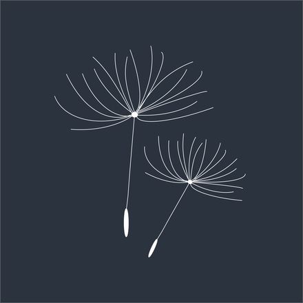 Dandelion Tattoo Meaning, Dandelion Tattoos, Dandelion Tattoo Design, Henne Tattoo, Dandelion Art, Dandelion Tattoo, Dandelion Seed, Large Tattoos, Elegant Tattoos