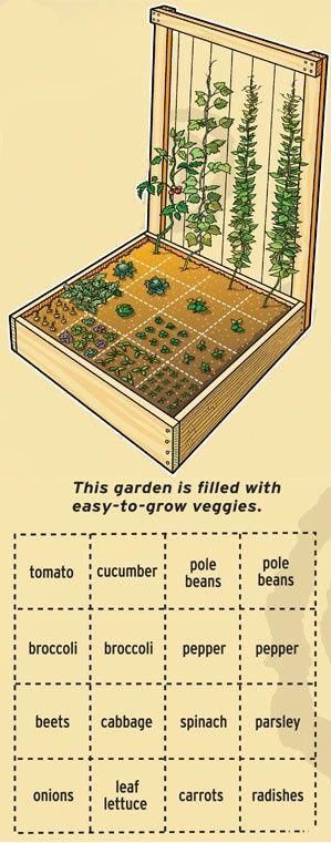 Garden Layout Vegetable, Vegetable Garden Planning, Grow Vegetables, Garden Frame, Backyard Vegetable Gardens, Diy Gardening, Square Foot Gardening, Vegetable Garden Design, Garden Care