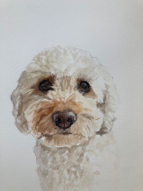 Funny Animal Art Paintings, Dog Watercolor Painting Easy, Cockapoo Drawing, Cockapoo Painting, Cavapoo Illustration, Cavapoo Painting, Golden Doodle Watercolor Painting, Dog Watercolour Painting, Watercolor Poodle Painting