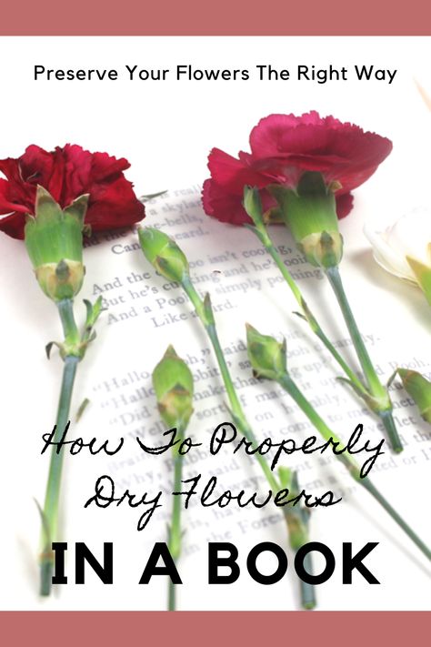 How To Dry Carnations, Pressed Carnations, Flowers In Books, Preserve Flowers, Pressing Flowers, Dried Flowers Diy, Clean Flowers, Drying Roses, Carnation Flower