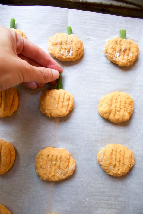 Banana Pumpkin Dog Treats Banana Dog Treat Recipe, Pumpkin Spice Smoothie, Making Peanut Butter, Dog Treats Homemade Easy, Pumpkin Dog Treats, Easy Dog Treats, Pumpkin Banana, Dog Treats Homemade Recipes, Dog Cookies