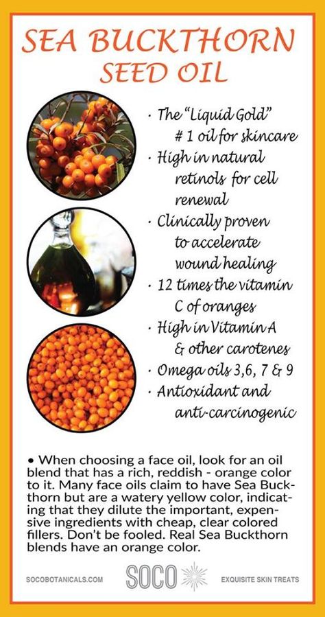 If you are looking for a natural way to moisturize your skin, sea buckthorn oil is the solution! #seabuckthorn #benefits #healthylife #health Natural Anti Aging Skin Care, Skincare 101, Coconut Oil Uses, Sea Buckthorn Oil, Anti Aging Food, Essential Oils For Skin, Benefits Of Coconut Oil, Coconut Oil For Skin, Natural Anti Aging