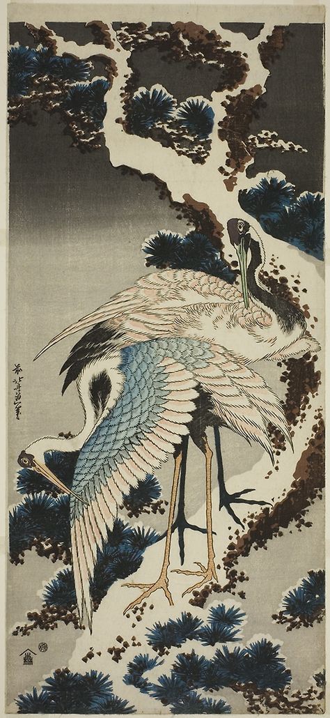 Cranes on snow-covered pine | The Art Institute of Chicago Japan Art Aesthetic, Lamp Artist, Chinese Crane, Crane Painting, Hokusai Paintings, Asian Nature, Hokusai Art, Japanese Culture Art, Japanese Animals