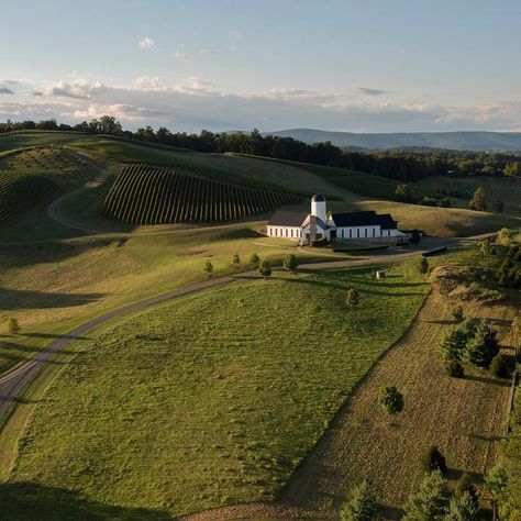 10 Stunning Wineries Near Shenandoah National Park Let’s be honest, it’s hard to beat a glass of wine after a hike, especially at a bucolic vineyard with wide-open views at one of the best wineries near Shenandoah National Park. Imagine settling in to an Adirondack chair, glass of award-winning wine in hand, savoring wondrous mountain views. Ahh, heavenly. Shenandoah National Park is […] The post 10 Stunning Wineries Near Shenandoah National Park appeared first on Virginia's Travel Blog . : Virginia Wine Country, Barolo Wine, Temecula Wineries, Virginia Wineries, Southern Travel, Wine Vineyards, Wine Preserver, Italy Wine, Skyline Drive