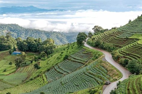 Mon Jam Chiang Mai, Thailand Package, Chiang Mai Travel, Doi Inthanon National Park, The Residents, Honeymoon Packages, Safari Tour, Sustainable Farming, Ancient Ruins