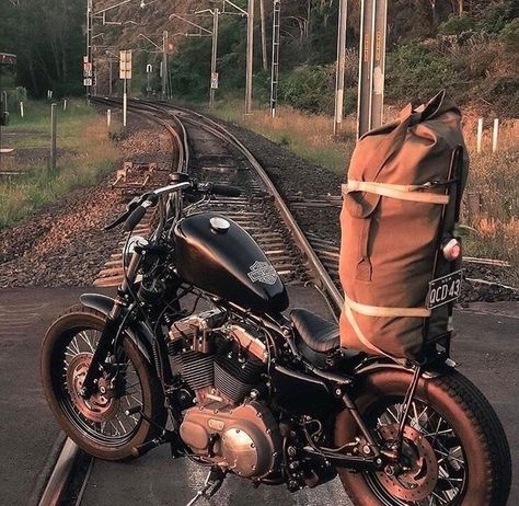 Hd 883 Iron, Motos Bobber, Мотоциклы Harley Davidson, Motorcycle Camping Gear, Sportster Bobber, Bobber Style, Moto Custom, Bobber Bikes, Motorcycle Camping