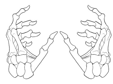 Tattoo design 1 Hand Holding Tattoo, Skeleton Hand Tattoos, Skeleton Hands Drawing, Hand Holding Something, Hook Tattoos, Skull Hand Tattoo, Skeleton Drawings, Drawing Hands, Skeleton Tattoos