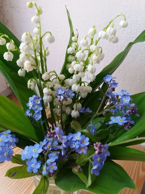 Lily Of The Valley Bouquet, Valley Flowers, Nothing But Flowers, Flower Therapy, Beautiful Bouquet Of Flowers, Pretty Plants, Botanical Flowers, Flower Lover, Forget Me Not