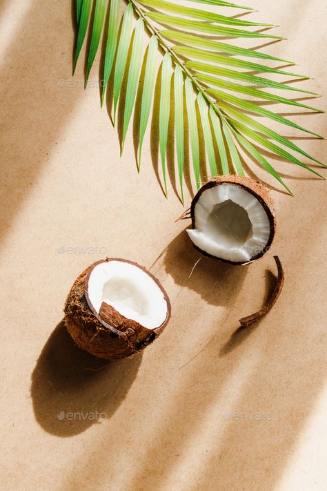 Summer abstract creative composition with coconut and palm leaf over kraft paper. by Edalin. Summer abstract creative composition with coconut and palm leaf over kraft paper. #Sponsored #composition, #coconut, #creative, #Summer Coconut Theme Decor, Coconut Food Photography, Coconut Asthetics, Fruit References, Coconut Photography, Coconut Background, Coconut Images, Palmetto Leaf, Menu Background