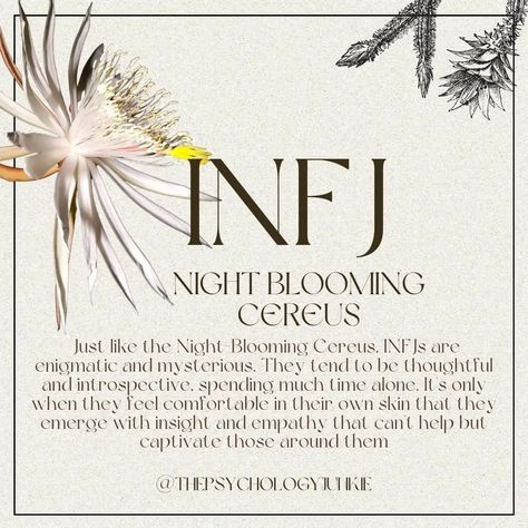 Personalidad Infj, 16 Personality Types, The 16 Personality Types, Infj Psychology, Rarest Personality Type, Botanical Study, Night Meaning, Myers Briggs Personality Test, Intj And Infj