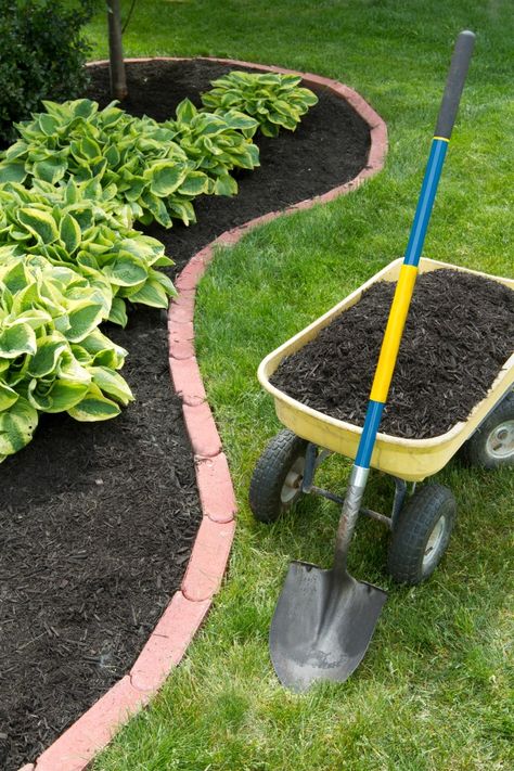 Transplant Hostas, Hosta Gardens, Hosta Plants, Backyard Landscape, Garden Yard Ideas, Garden Edging, Garden Bed, Shade Plants, Lawn And Garden