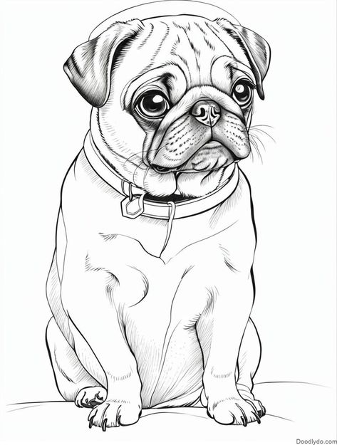 Pug Color Page Check more at https://doodlydo.com/pug-color-page/ Black Pug Drawing, Pug Drawing Easy, Cute Pug Drawing, Pugs Drawing, Pug Coloring Page, Pug Sketch, Burning Pictures, Pug Drawing, Pet Pug