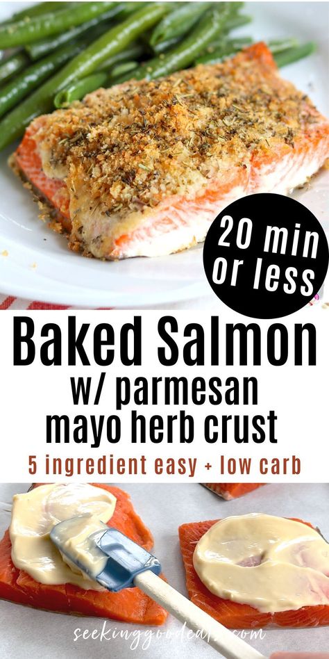 Are you looking for a healthy recipe that's quick, easy, and low in carbs? Look no further than this Easy 5 Ingredient Baked Salmon with Mayo and Parmesan Herb Crust! This delicious, low-carb meal can be ready in under 20 minutes, making it the perfect easy dinner idea for busy weeknights. The addition of a flavorful Parmesan herb crust elevates this traditional salmon dish to a delicious family-favorite! Shrimp Dinner Low Carb, Low Carb Baked Salmon Recipes, Salmon Recipes Baked Keto, Keto Baked Salmon Recipes Oven, Low Carb Dinner Salmon, Salmon Valentine Dinner, Low Carb Lobster Recipes, Keto Grilled Salmon Recipes, Salmon With Parmesan Cheese