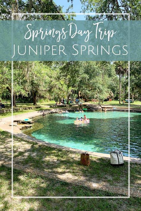 Juniper Springs: Florida Springs Day Trip - Jacksonville Beach Moms Juniper Springs Florida, Ocala National Forest, Beach Mom, Florida Travel Guide, Florida State Parks, Florida Springs, Places In Florida, Ocala Florida, Springs Florida