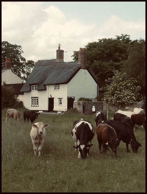 Vintage Farmgirl Aesthetic, Farmer Wife Aesthetic, 1800s Homestead, Rich Southern Aesthetic, Vintage Farm Aesthetic, Southern Aesthetic Country, Vintage Country Aesthetic, 1930 Aesthetic, 1930s Farm