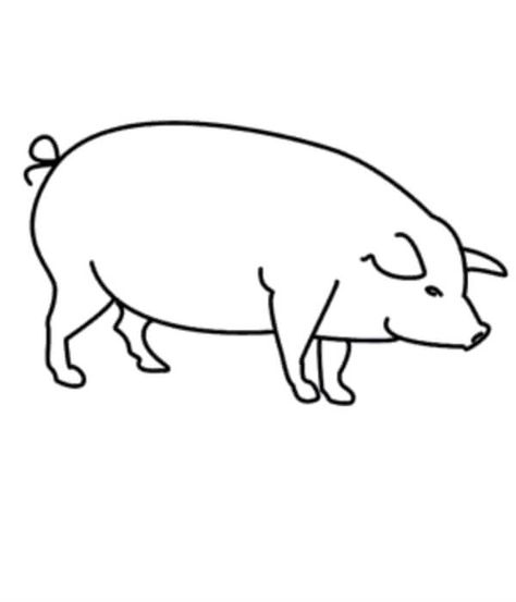 Pig Drawing & Sketches For Kids Check more at https://www.kidsartncraft.com/pig-drawing-sketches-for-kids/ Sketches For Kids, Pig Sketch, Pig Drawing, Children Sketch, Sketches Easy, Drawing Sketches, Easy Drawings, For Kids, Drawings