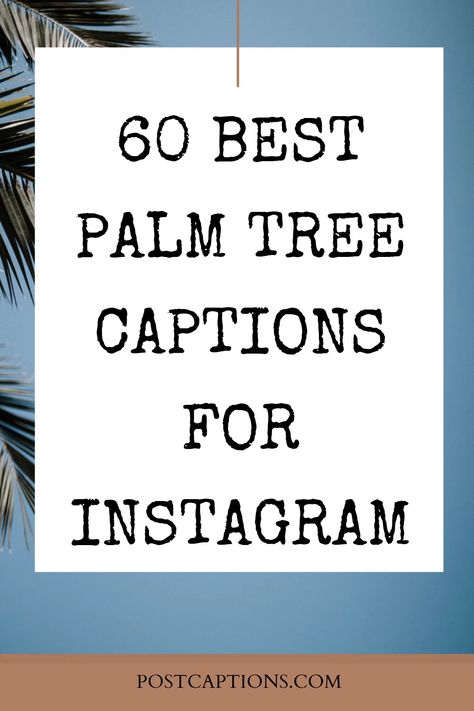 Looking for the perfect Instagram caption to go with your palm tree photos? Look no further! These captions will help you show off your love for nature and tropical vibes. Palm tree captions| Palm tree quotes for Instagram Palm Quotes, Palm Tree Quotes Inspiration, Palm Tree Captions Instagram, Palm Tree Pics, Palm Tree Quotes, Palm Trees Garden, Short Palm Trees, Shadow Quotes, Walking Quotes