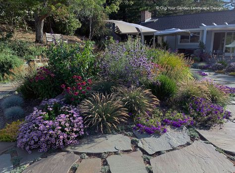 Lawn replaced with California natives and low-care plants - Dig Your Garden Landscape Design California Native Landscape, Drought Tolerant Landscape Front Yard, Desert Landscaping Backyard, California Landscaping, Drought Resistant Landscaping, Native Plant Landscape, Low Water Landscaping, California Native Garden, Low Water Plants