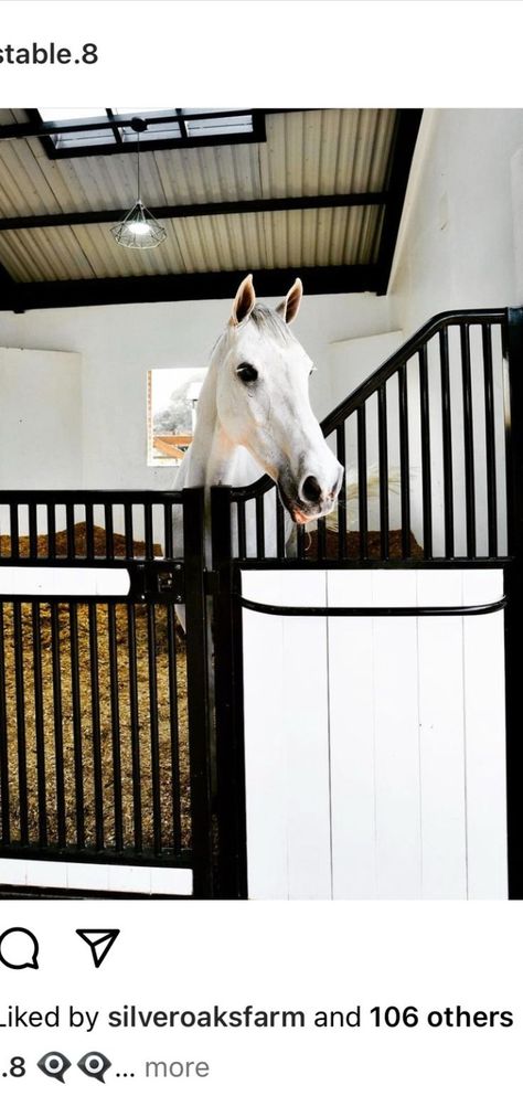 Beautiful stable design for horses from Stable 8. Wec Ocala, Equestrian Properties, Horse Stables Design, Stable Style, Stables Design, Barn Design, Horse Stables, Horse Life, Horse Farms