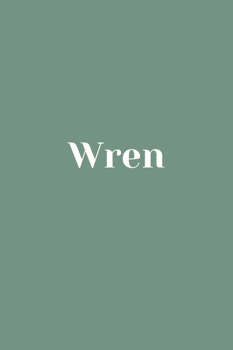 Wren - Baby Name - Names That Start With W Wren Name, Wren, Boy Names, Pet Names, Baby Names