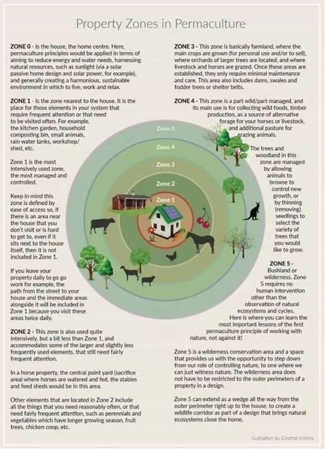 Keyline Design, Allotment Planning, Mandala Garden, Commune Design, Sustainable Homestead, Food Forest Garden, Permaculture Principles, Balcony Gardening, Farm Plans