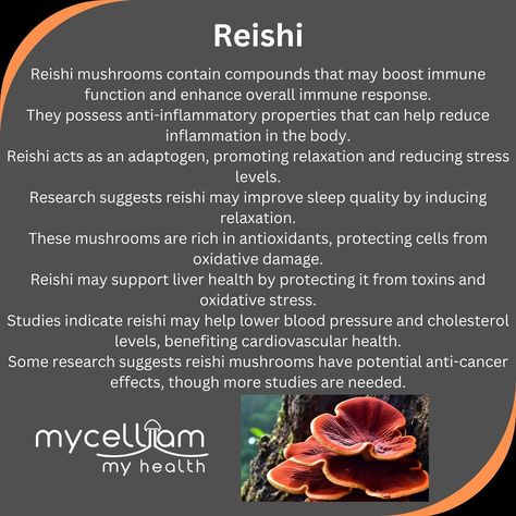 Amazing benefits of reishi in our product line! Reishi Benefits, Reishi Mushroom Benefits, Sleep Rituals, Boost Immunity, Natural Balance, Reishi Mushroom, Sleep Issues, Wellness Routine, Diy Health