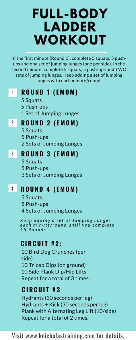 At Home Workouts — Karen Nicholas Training Ladder Workouts Strength, Bodyweight Bootcamp Workout, Emom Workout No Equipment, Emom Workout Weights, Emom Wod, Isolation Workouts, Ladder Workouts, Bootcamp Ideas, Spartan Sprint