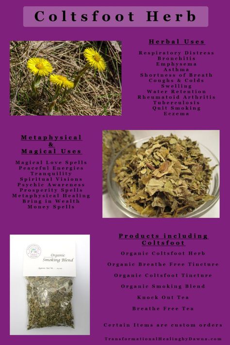 Tea Uses, Magical Love, Medicinal Herbs Garden, Magickal Herbs, Harvesting Herbs, Cold Symptoms, Cold Cough, Herbal Healing, Metaphysical Healing