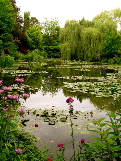 Monet's Pond - Giverny, France French Garden Design, Water Gardens, Weeping Willow, Lily Pond, French Garden, A Pond, The Pond, Alam Yang Indah, Art References