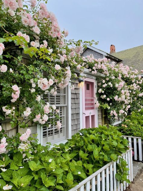 Nantucket Flowers, Nantucket Coastal Style, Nantucket Garden Design, Nantucket Photography, Nantucket Shops, Nantucket Garden, Nantucket Homes, Nantucket Summer Aesthetic, Nantucket Exterior