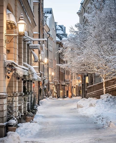 Earth on Twitter: "Stockholm, Sweden 🇸🇪 via: kjtsvensson… " Malmo Sweden Aesthetic, Winter Vibes Aesthetic, Stockholm Winter, Sweden Aesthetic, Sweden Christmas, Visit Stockholm, Christmas Dreaming, Sweden Travel, Travel Wishlist