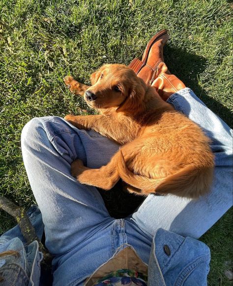 Patrick Feely, Farmer Boy, Southern Boys, Cowboy Aesthetic, Farm Boys, Boys Life, Boy Aesthetic, Western Aesthetic, Blonde Boys