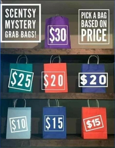 Scentsy Grab Bags Ideas, Mystery Bags Scentsy, Scentsy Challenge, Scentsy Games, Craft Fair Booth Display, Mystery Bags, Fair Booth, Craft Fairs Booth, Mystery Bag