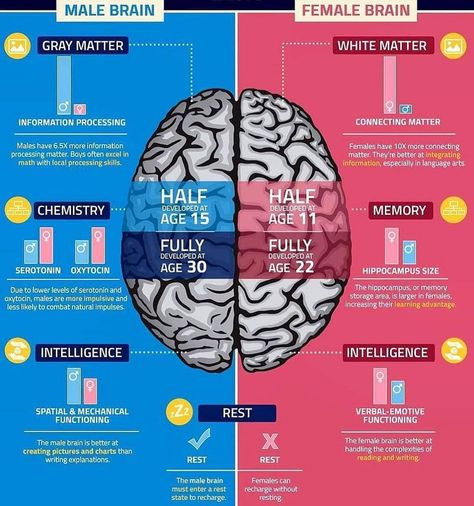 Brain Surgeon, Brain Facts, Back Fat Workout, White Matter, Brain Anatomy, The Human Brain, Brain Science, Information Processing, Brain Power