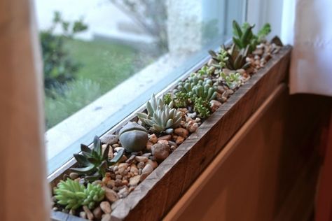 Indoor Flower Box, Window Sill Herb Garden, Window Sill Decor, Kitchen Window Sill, Window Plants, Trendy Plants, Best Indoor Plants, Bathroom Plants, Indoor Gardens