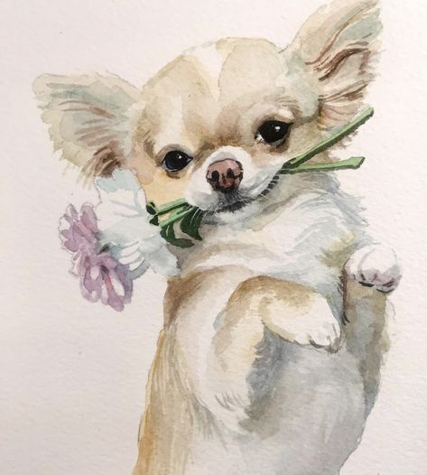 Chihuahua Watercolor Painting, Chiwawa Illustration, Dog Drawing Chihuahua, Cute Dog Painting, Chihuahua Sketch, Drawing Chihuahua, Watercolor Chihuahua, Chihuahua Painting, Chihuahua Drawing