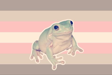 #pfp #frog #frogcore #aesthetic #aestheticwallpaperiphone #aestheticwallpaper #profilepics #demigirl Lgbt Culture, Trans Art, Frog Wallpaper, Attack On Titan Aesthetic, Trans Flag, Gay Flag, Flag Icon, Gay Aesthetic, Boy Best Friend