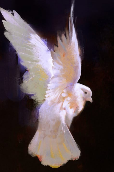 Yuming Li elegant and mesmerizing dove portrait Lady Aphrodite, Arte Inspo, Wow Art, Ap Art, Arte Animal, Timeless Art, Painting Inspo, Birds Painting, Bird Art