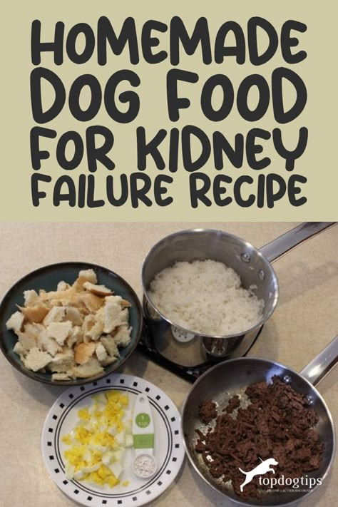 Homemade Dog Food for Kidney Failure Recipe Salmon Dog Food Recipes, Dog Food Add Ins, Kidney Diet For Dogs, Food For Kidney, Low Protein Dog Food, Kidney Friendly Recipes Renal Diet, Food For Kidney Health, Low Protein Diet, Make Dog Food