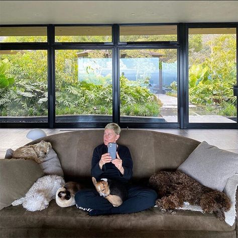 Ellen Degeneres Home, Ellen Degeneres And Portia, Dark Wooden Floor, Ellen And Portia, Ellen Show, Portia De Rossi, Courtyard Gardens Design, Ellen Degeneres Show, The Ellen Show