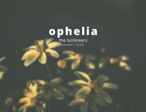 Lumineers Quotes, Ophelia Song, Shakespeare Hamlet, The Lumineers, 17 Agustus, My 2022, I Love Music, Love Music, It Girls